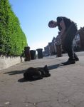 Cat no like walk